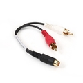 Phono