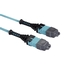 FOTC20M3MP24AQ-3R2: 24-Strand, 3m